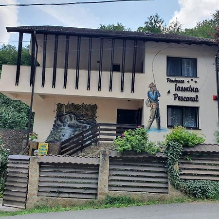 Pensiunea Iasmina Si Pescarul Călimăneşti Dış mekan fotoğraf